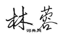 骆恒光林蓉行书个性签名怎么写