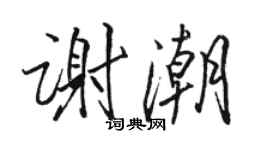 骆恒光谢潮行书个性签名怎么写
