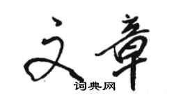 骆恒光文章行书个性签名怎么写