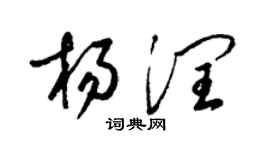 梁锦英杨润草书个性签名怎么写