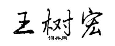 曾庆福王树宏行书个性签名怎么写