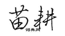 骆恒光苗耕行书个性签名怎么写