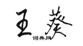 骆恒光王葵行书个性签名怎么写