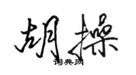 骆恒光胡操行书个性签名怎么写