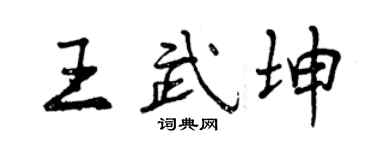 曾庆福王武坤行书个性签名怎么写