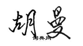 骆恒光胡曼行书个性签名怎么写