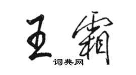 骆恒光王霜行书个性签名怎么写
