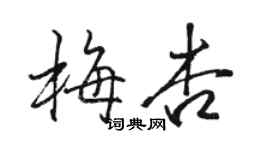 骆恒光梅杏行书个性签名怎么写