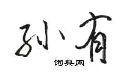 骆恒光孙有行书个性签名怎么写