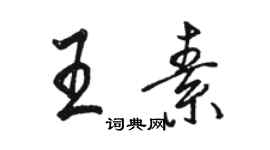 骆恒光王素行书个性签名怎么写