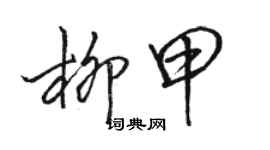 骆恒光柳甲行书个性签名怎么写