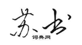 骆恒光苏书行书个性签名怎么写