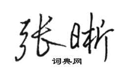 骆恒光张晰行书个性签名怎么写