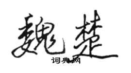 骆恒光魏楚行书个性签名怎么写