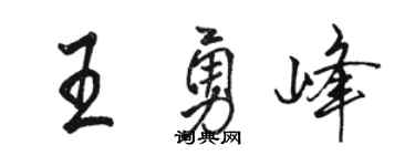 骆恒光王勇峰行书个性签名怎么写