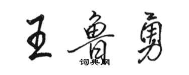 骆恒光王鲁勇行书个性签名怎么写