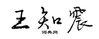 曾庆福王知震行书个性签名怎么写