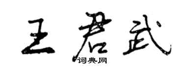 曾庆福王君武行书个性签名怎么写