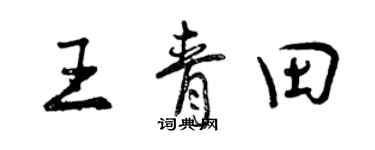曾庆福王青田行书个性签名怎么写