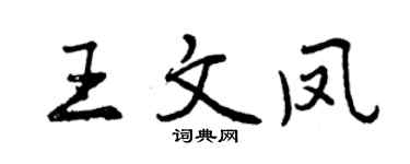 曾庆福王文凤行书个性签名怎么写