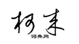 梁锦英柯来草书个性签名怎么写
