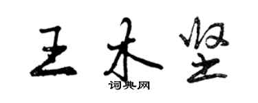曾庆福王木坚行书个性签名怎么写