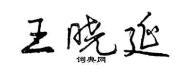 曾庆福王晓延行书个性签名怎么写