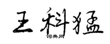 曾庆福王科猛行书个性签名怎么写