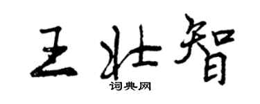 曾庆福王壮智行书个性签名怎么写