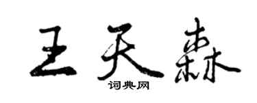 曾庆福王天森行书个性签名怎么写