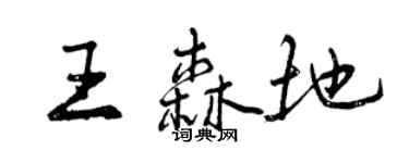曾庆福王森地行书个性签名怎么写
