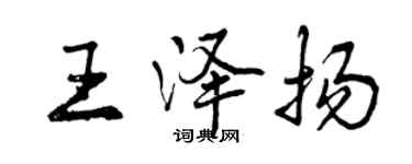 曾庆福王泽扬行书个性签名怎么写