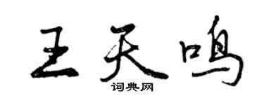 曾庆福王天鸣行书个性签名怎么写