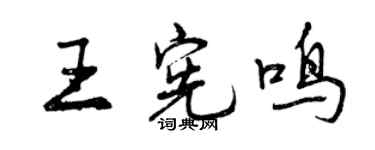 曾庆福王宪鸣行书个性签名怎么写