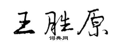 曾庆福王胜原行书个性签名怎么写