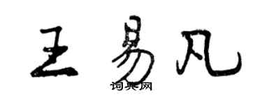 曾庆福王易凡行书个性签名怎么写