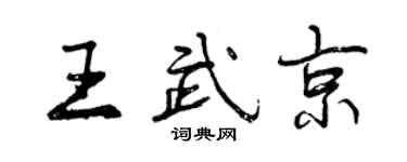 曾庆福王武京行书个性签名怎么写