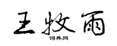 曾庆福王牧雨行书个性签名怎么写