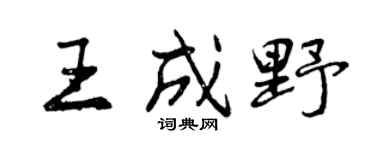 曾庆福王成野行书个性签名怎么写
