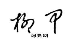 梁锦英柳甲草书个性签名怎么写