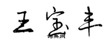 曾庆福王宝丰行书个性签名怎么写