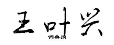 曾庆福王叶兴行书个性签名怎么写
