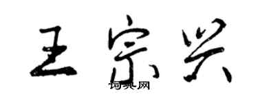 曾庆福王宗兴行书个性签名怎么写