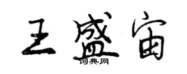 曾庆福王盛宙行书个性签名怎么写