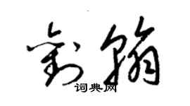 梁锦英刘翰草书个性签名怎么写
