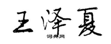 曾庆福王泽夏行书个性签名怎么写