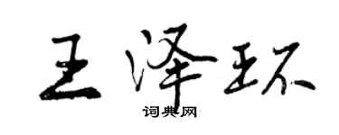 曾庆福王泽环行书个性签名怎么写