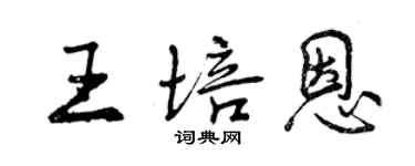 曾庆福王培恩行书个性签名怎么写