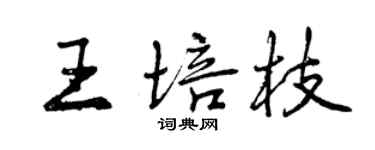 曾庆福王培枝行书个性签名怎么写
