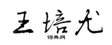 曾庆福王培尤行书个性签名怎么写
